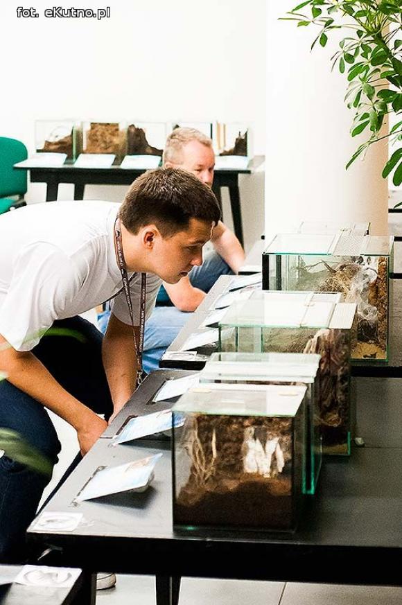 Pod patronatem eKutno.pl: Wystawa ptaszników Mariusza Arenta