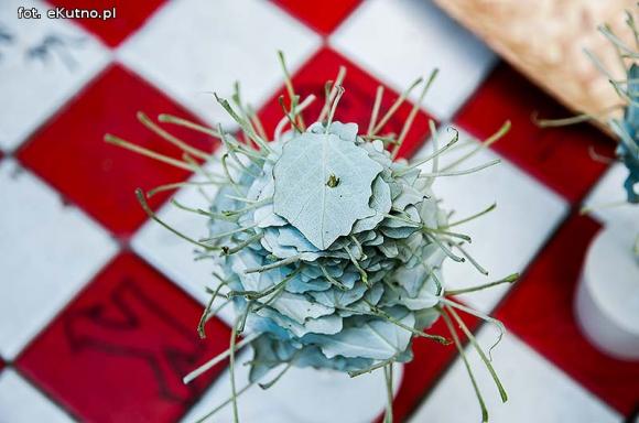 Rumba, taniec ognia, street dance, zumba, piżama party i moc talentów na scenie w parku