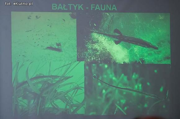 III Sympozjum Akwarystyczne w Żychlinie