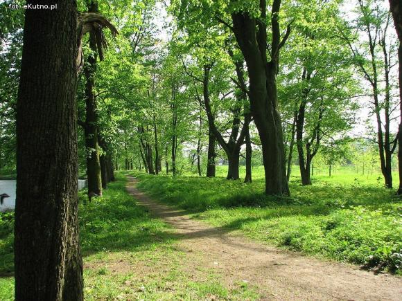 Czy pałac wróci do świetności i będzie chlubą Krośniewic? Poszukiwany inwestor