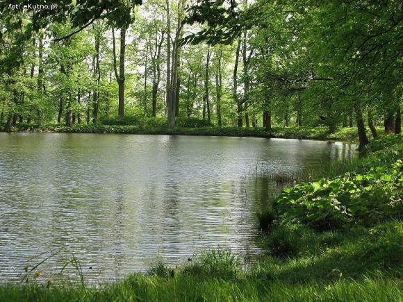 Czy pałac wróci do świetności i będzie chlubą Krośniewic? Poszukiwany inwestor