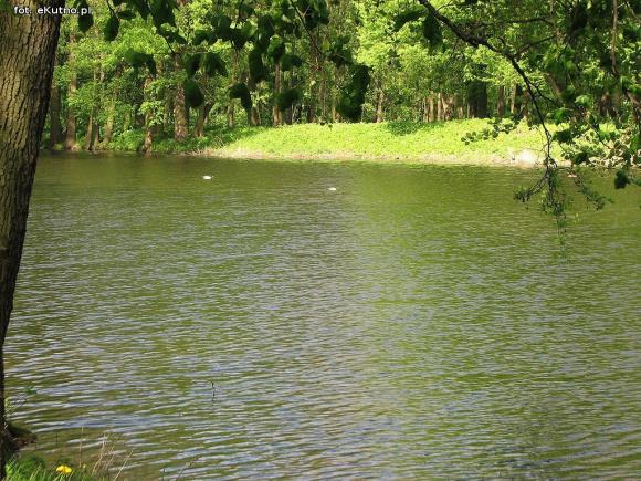 Czy pałac wróci do świetności i będzie chlubą Krośniewic? Poszukiwany inwestor