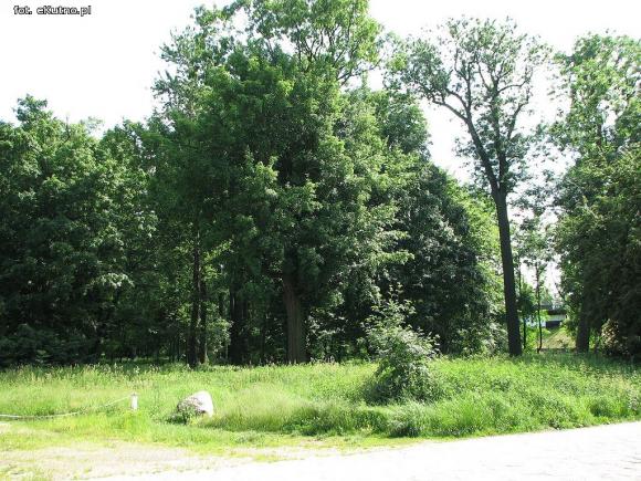 Czy pałac wróci do świetności i będzie chlubą Krośniewic? Poszukiwany inwestor