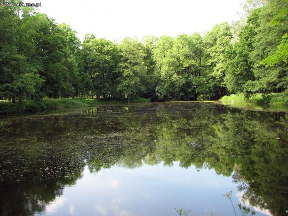 Czy pałac wróci do świetności i będzie chlubą Krośniewic? Poszukiwany inwestor