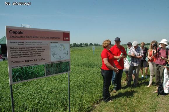 Jaka praca jest najcenniejsza na Ziemi? Dni Pola w Strzelcach