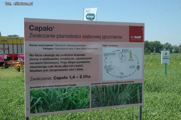 Jaka praca jest najcenniejsza na Ziemi? Dni Pola w Strzelcach