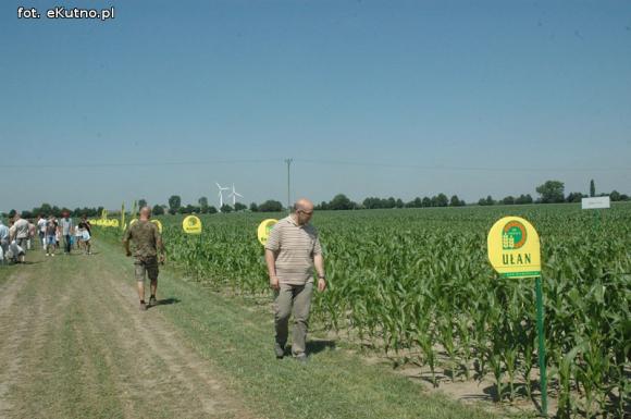 Jaka praca jest najcenniejsza na Ziemi? Dni Pola w Strzelcach