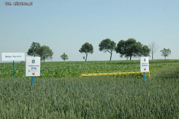 Jaka praca jest najcenniejsza na Ziemi? Dni Pola w Strzelcach