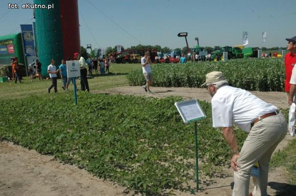 Jaka praca jest najcenniejsza na Ziemi? Dni Pola w Strzelcach