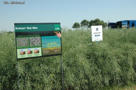 Jaka praca jest najcenniejsza na Ziemi? Dni Pola w Strzelcach