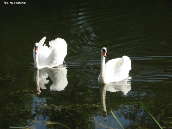 Rajd z przesłaniem profilaktycznym