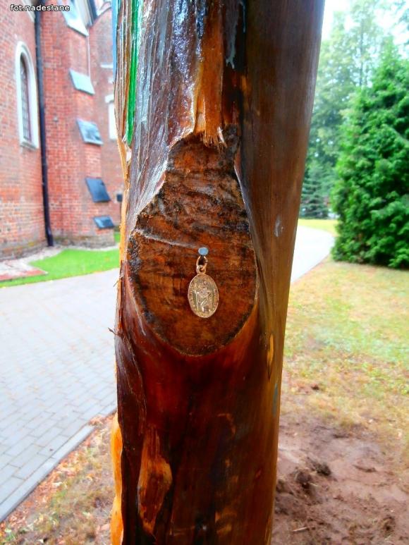 Galeria turystyczna gminy Kutno w Byszewie, Gołębiewku, Głogowcu i Leszczynku