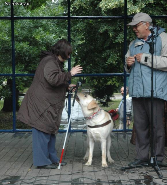 Grunt to rodzinka. Festyn w parku