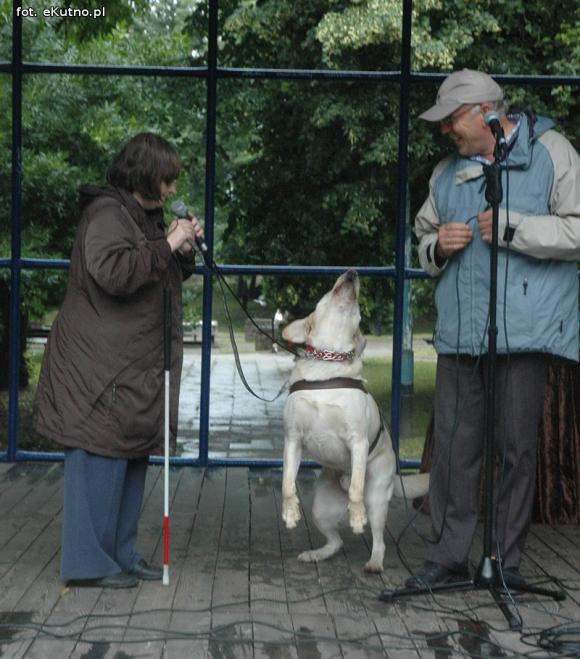 Grunt to rodzinka. Festyn w parku