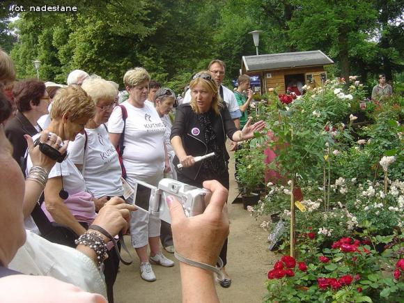Kutnowianie w Ogrodzie Różanym w Forst