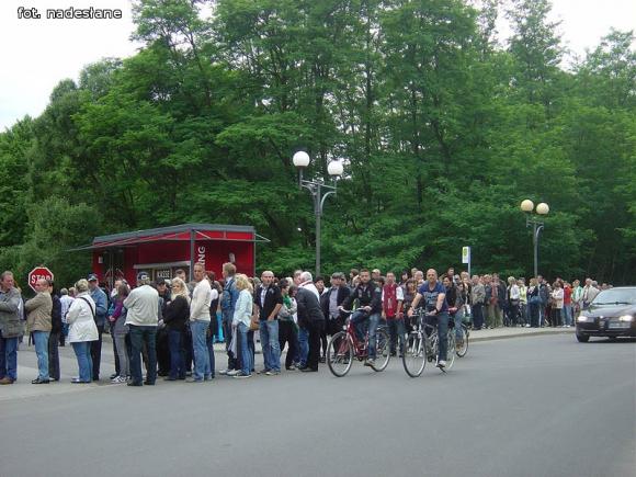 Kutnowianie w Ogrodzie Różanym w Forst