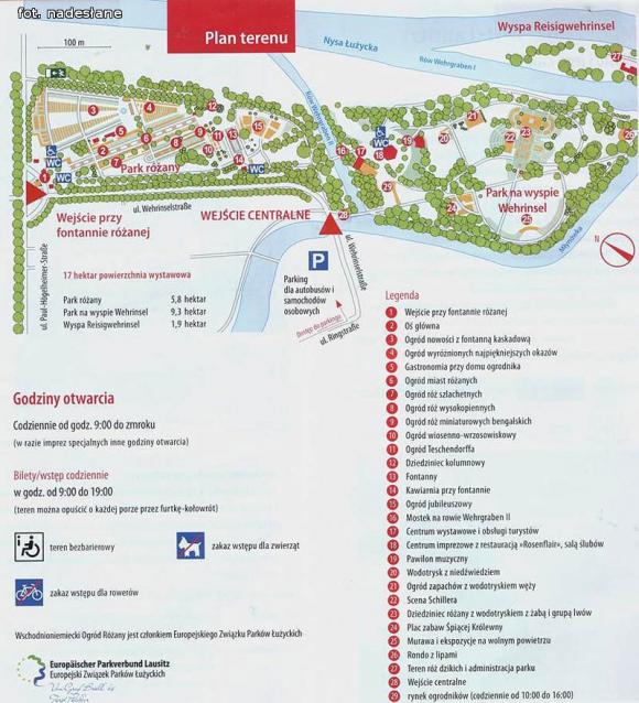 Kutnowianie w Ogrodzie Różanym w Forst