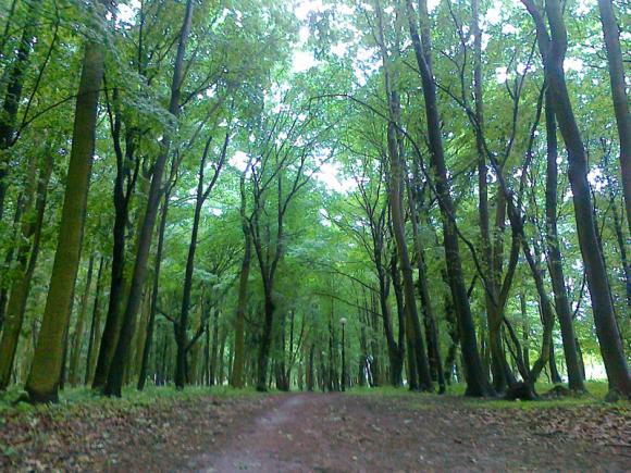 Gmina Łanięta i Miasto Kutno z dofinansowaniami na odnowienie zabytkowych parków