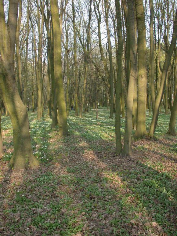Gmina Łanięta i Miasto Kutno z dofinansowaniami na odnowienie zabytkowych parków