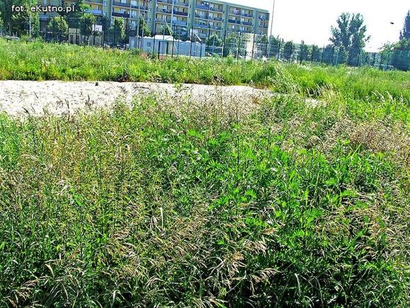 Czytelnicy pytają: Czy ktoś pamięta przedwyborcze obietnice? Co tu powstanie?