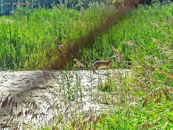 Czytelnicy pytają: Czy ktoś pamięta przedwyborcze obietnice? Co tu powstanie?