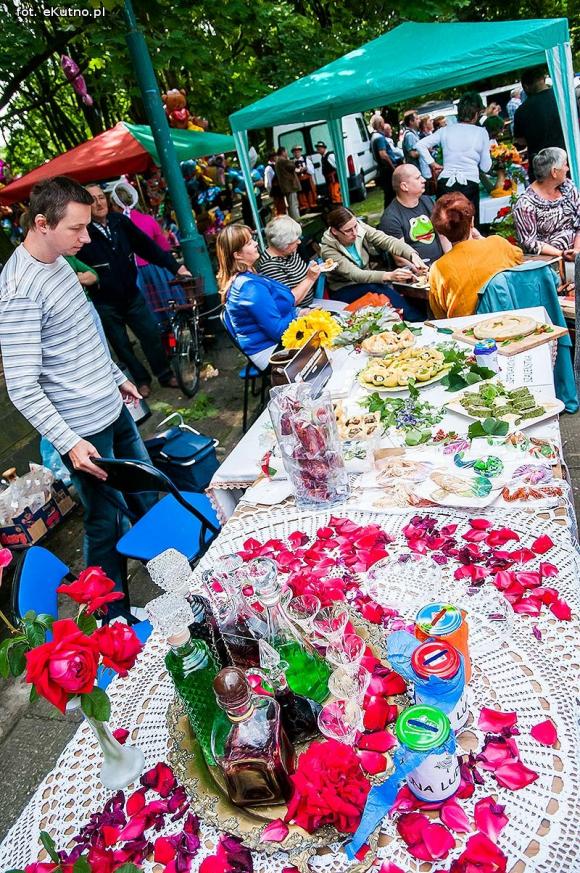 Kartoflarz z Muchnowa, najlepsze zespoły i kapele na Festiwalu 
