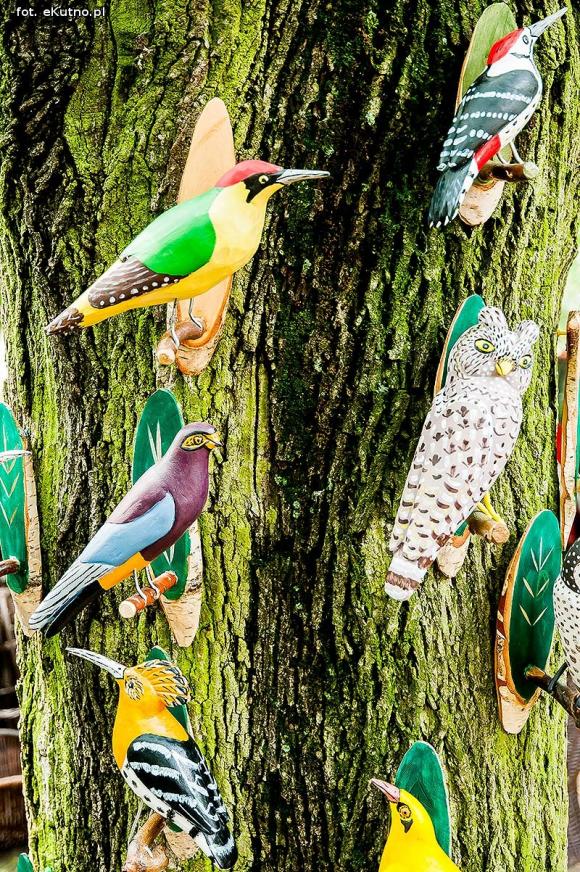 Kartoflarz z Muchnowa, najlepsze zespoły i kapele na Festiwalu 