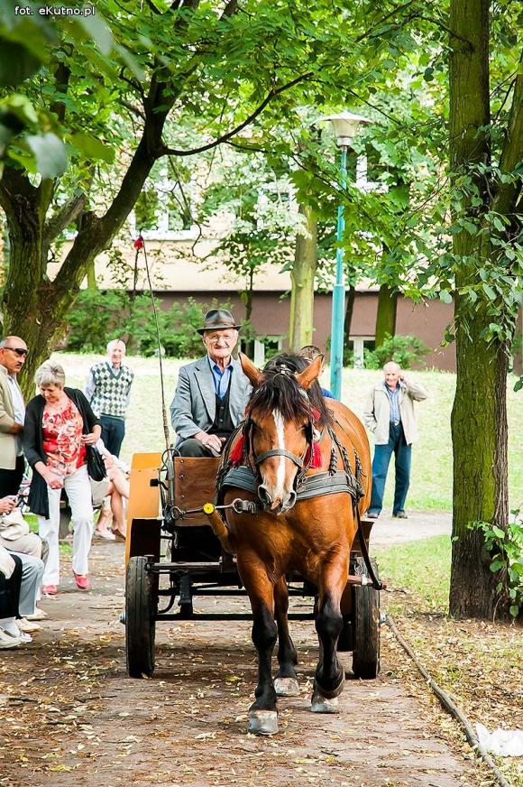 W mieście róż zakończyła się dobra zabawa na ludowo