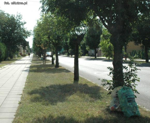 Miesiąc ustawy śmieciowej. Czy segregujemy śmieci w Kutnie?