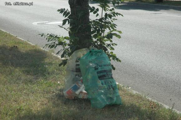 Miesiąc ustawy śmieciowej. Czy segregujemy śmieci w Kutnie?