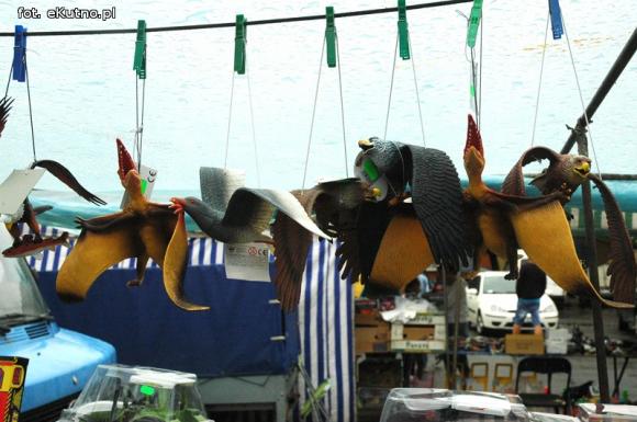 Odpustowe atrakcje: Lalka śpiewająca Gangnam style, krasnoludy w loterii i biszkoptowe obwarzanki