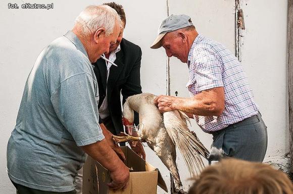 Festyn na cześć Najświętszej Maryi Panny
