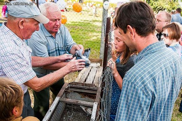 Festyn na cześć Najświętszej Maryi Panny
