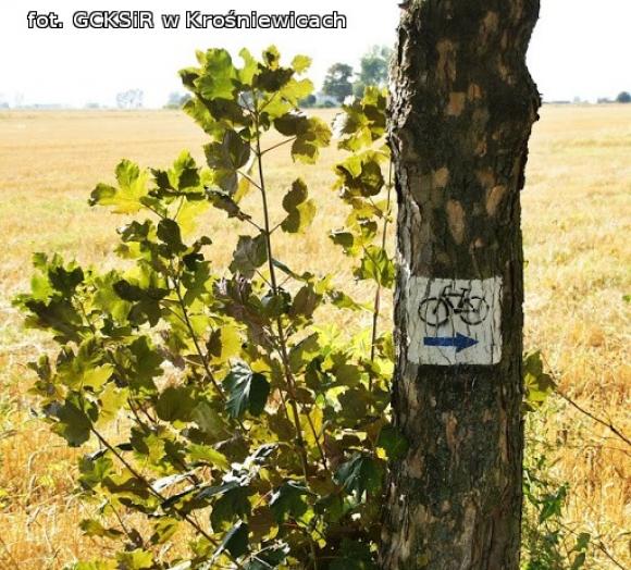 70 rowerzystów w Międzygminnym Sierpniowym Rajdzie Rowerowym