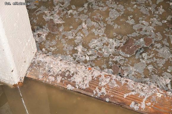 Fekalia zalewają piwnice mieszkańców Warszawskiego Przedmieścia