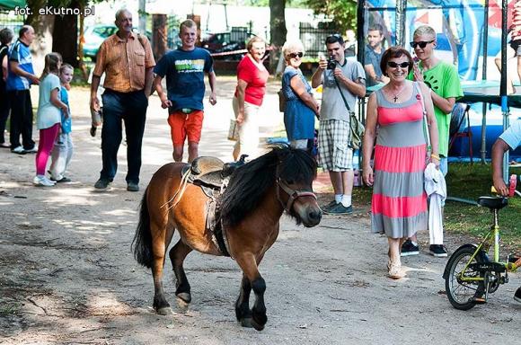 Ludowo na pikniku w Leszczynku