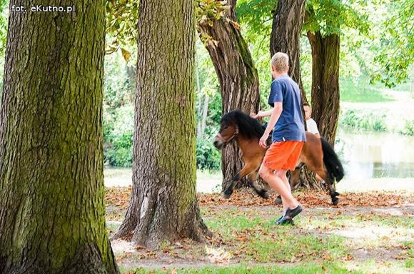 Ludowo na pikniku w Leszczynku