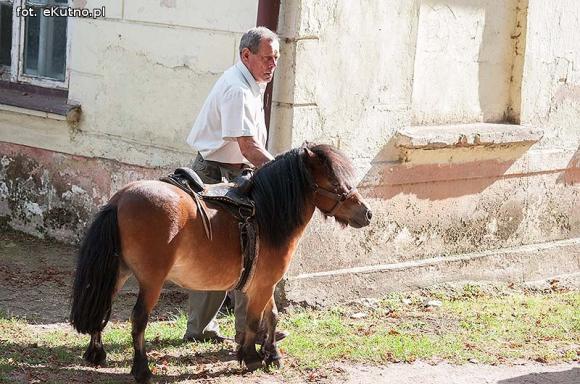 Ludowo na pikniku w Leszczynku