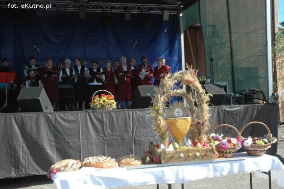 Chcę wyjechać na wieś, dojrzałe wiśnie z drzewa rwać... Dożynki w gminie Strzelce