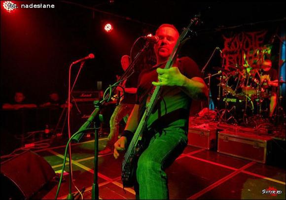 Wesele w rytmach muzyki grind core i death metal