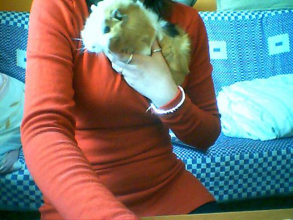 eKologia: HARRY de Świnka NAJGRYZONIEM