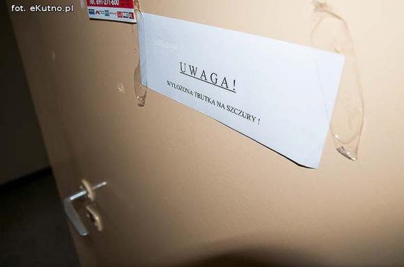 Twój sąsiad w XXI wieku ... szczur w blokach RSM Pionier