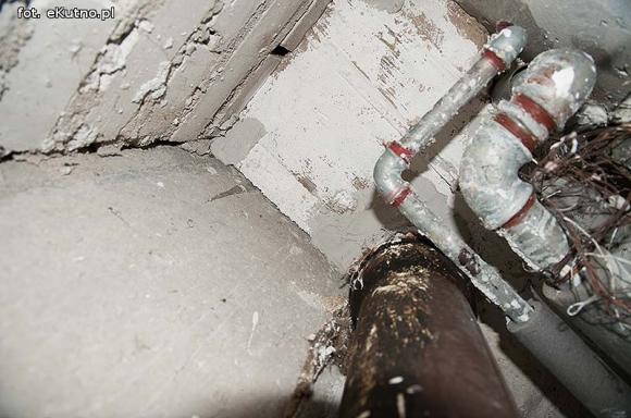 Twój sąsiad w XXI wieku ... szczur w blokach RSM Pionier