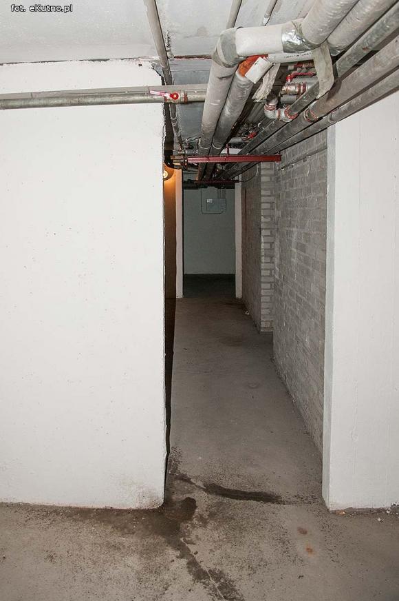 Twój sąsiad w XXI wieku ... szczur w blokach RSM Pionier