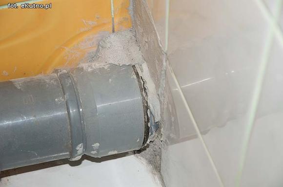 Twój sąsiad w XXI wieku ... szczur w blokach RSM Pionier