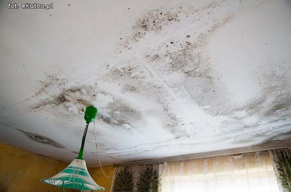 Matka nie chce ich znać, babcia wychowuje. Pomóżmy wyremontować dom dla Wiktora i Bartka