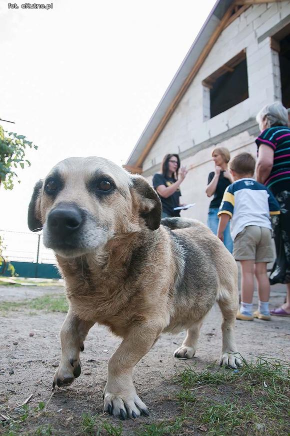 Matka nie chce ich znać, babcia wychowuje. Pomóżmy wyremontować dom dla Wiktora i Bartka