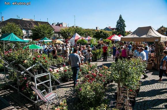Wędliny, wypieki i piwo. Jarmark różany trwa