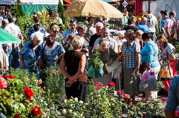 Wędliny, wypieki i piwo. Jarmark różany trwa