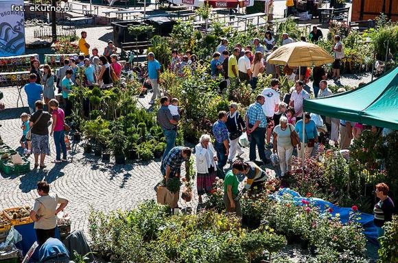 Wędliny, wypieki i piwo. Jarmark różany trwa